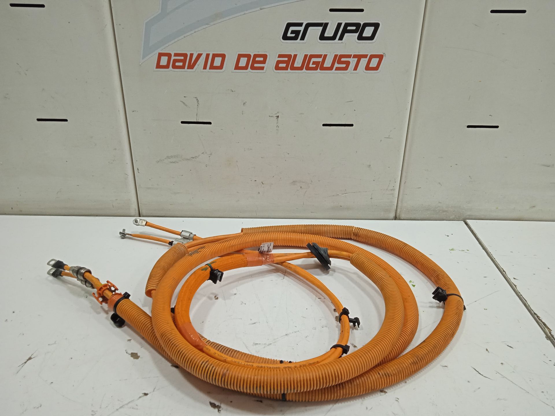 CABLEADO TESLA MODEL S Basis