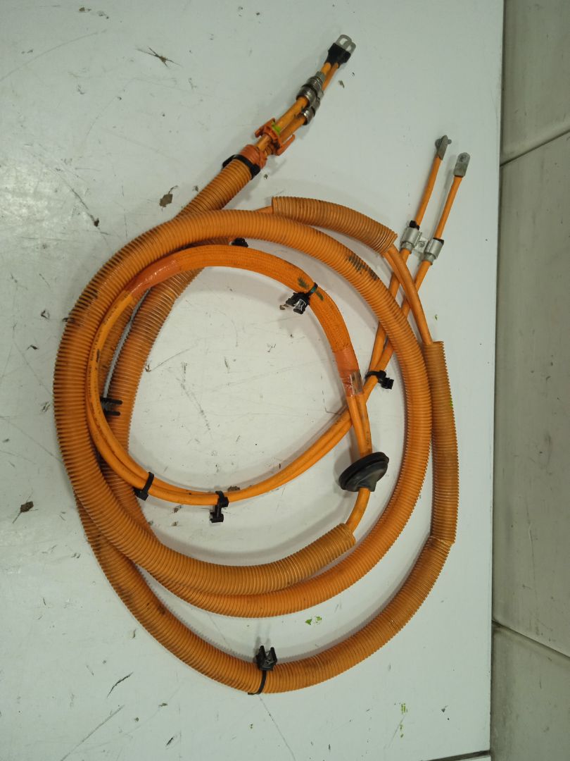 CABLEADO TESLA MODEL S Basis
