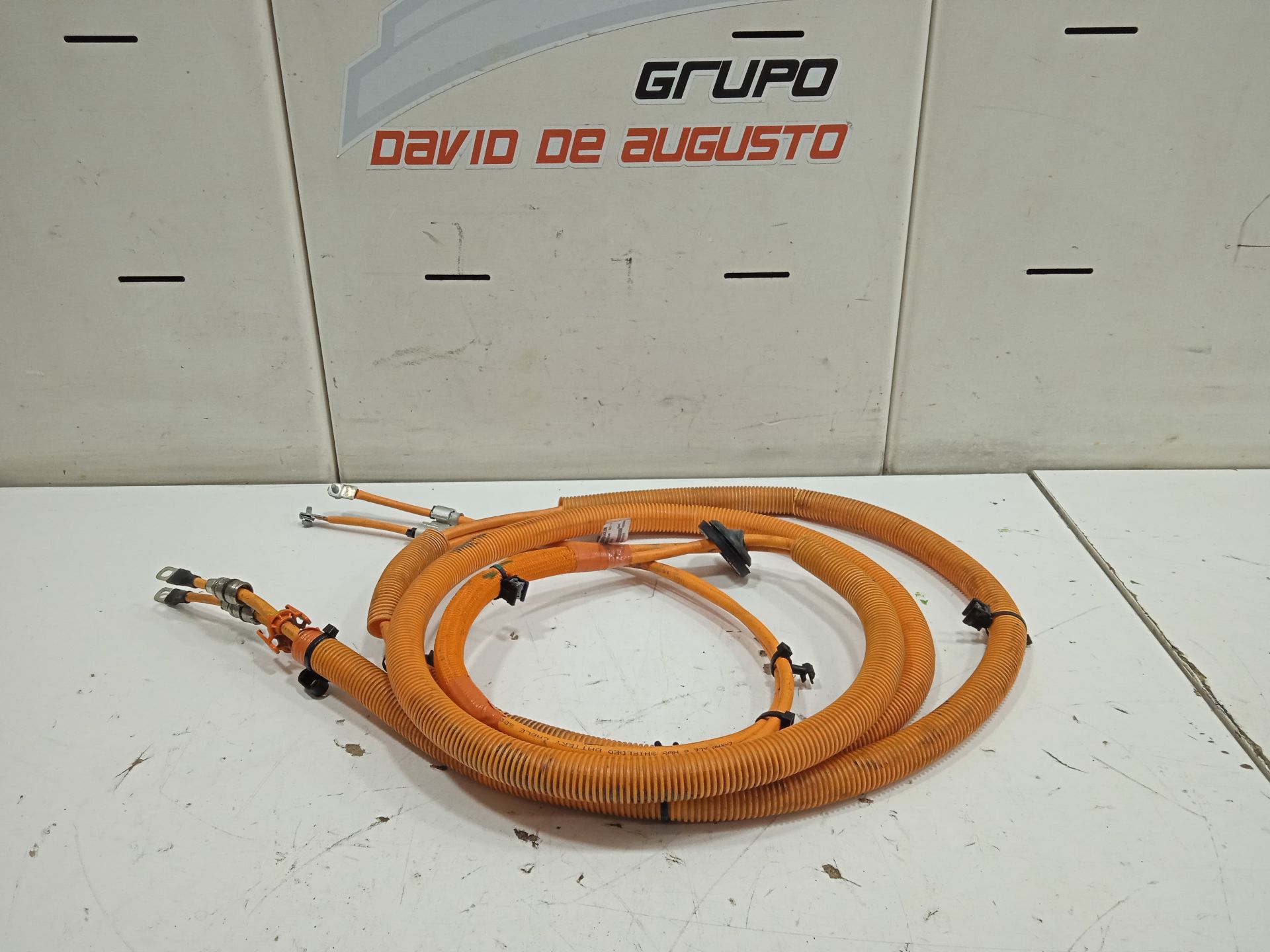 CABLEADO TESLA MODEL S Basis