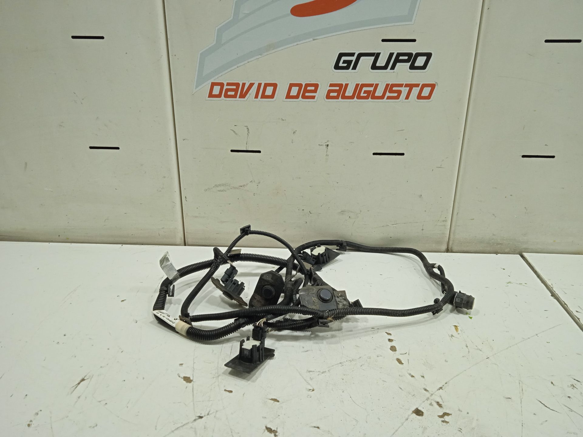 CABLEADO TESLA MODEL S Basis