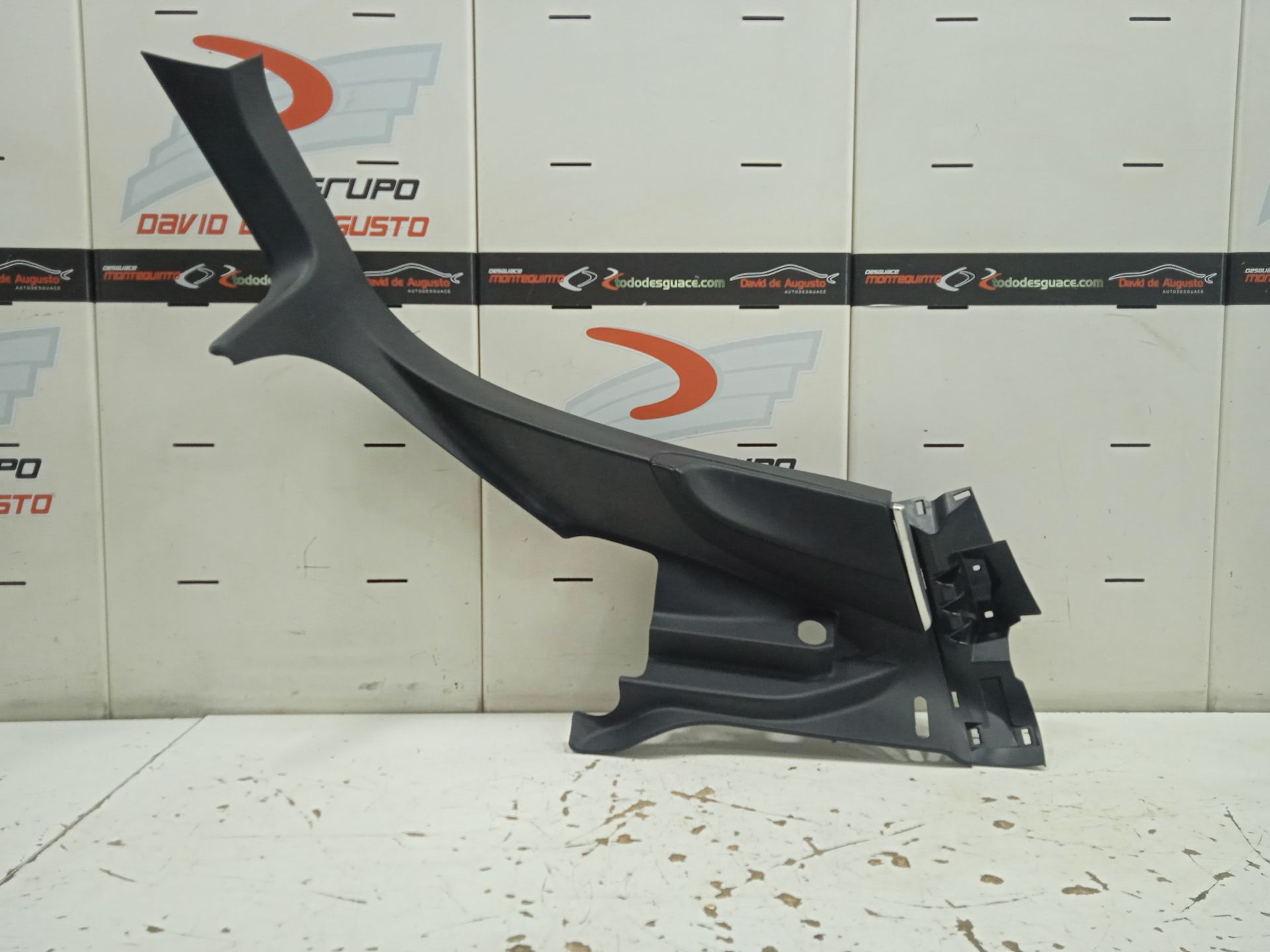 MOLDURA PUERT DELANTERA IZQUIERDA TESLA MODEL S Basis