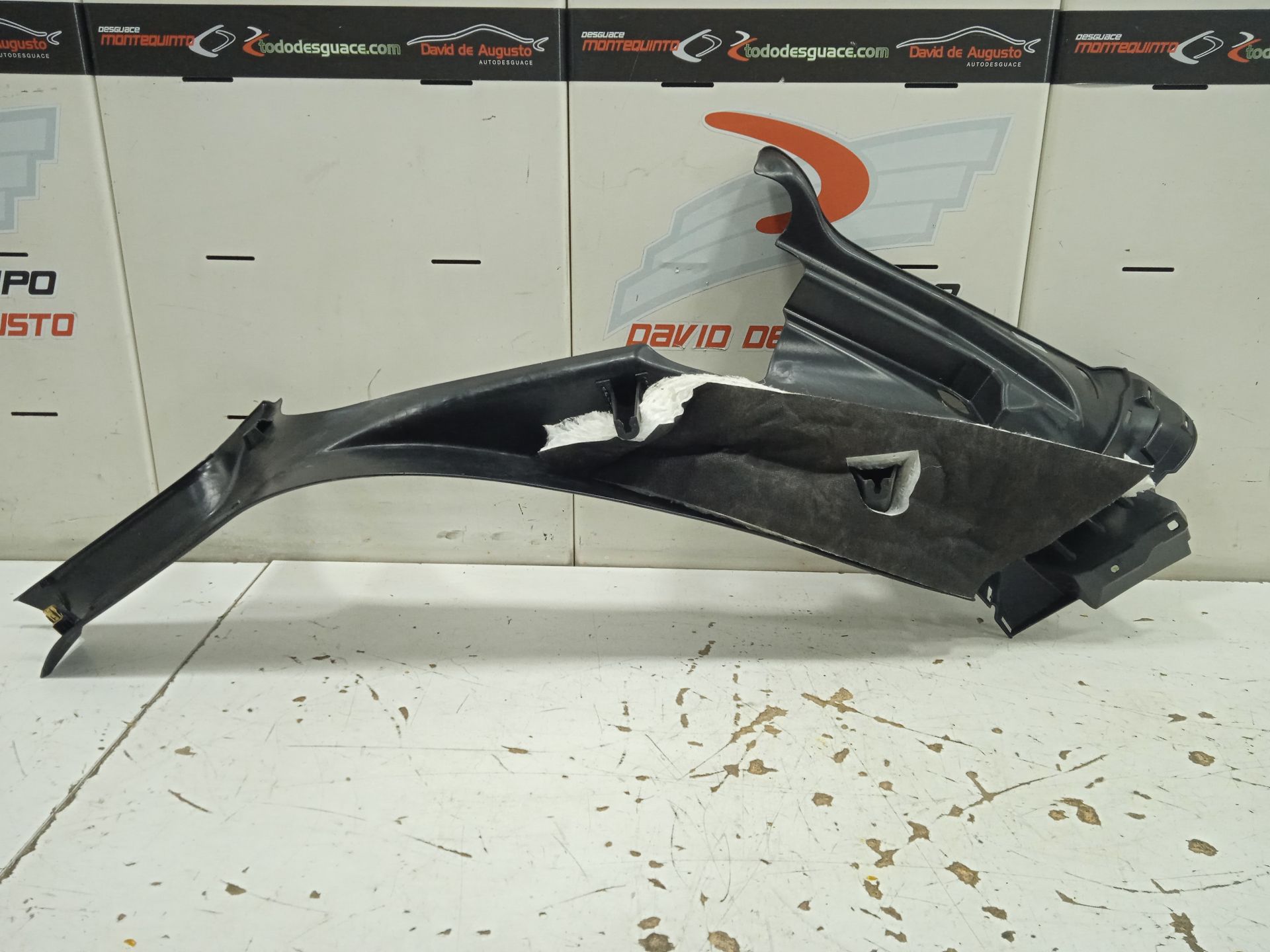 MOLDURA PUERT DELANTERA IZQUIERDA TESLA MODEL S Basis