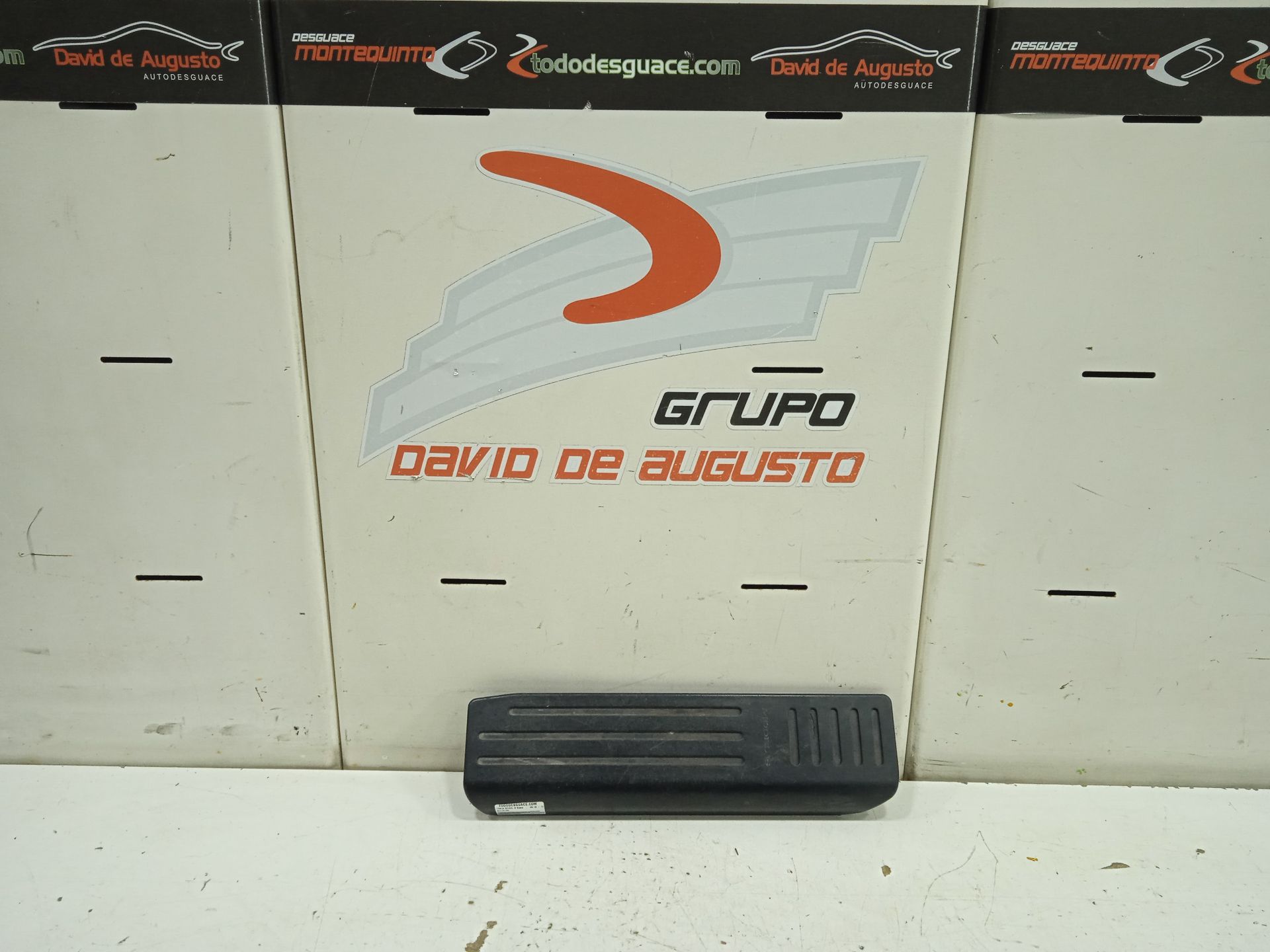 MOLDURA TESLA MODEL S Basis