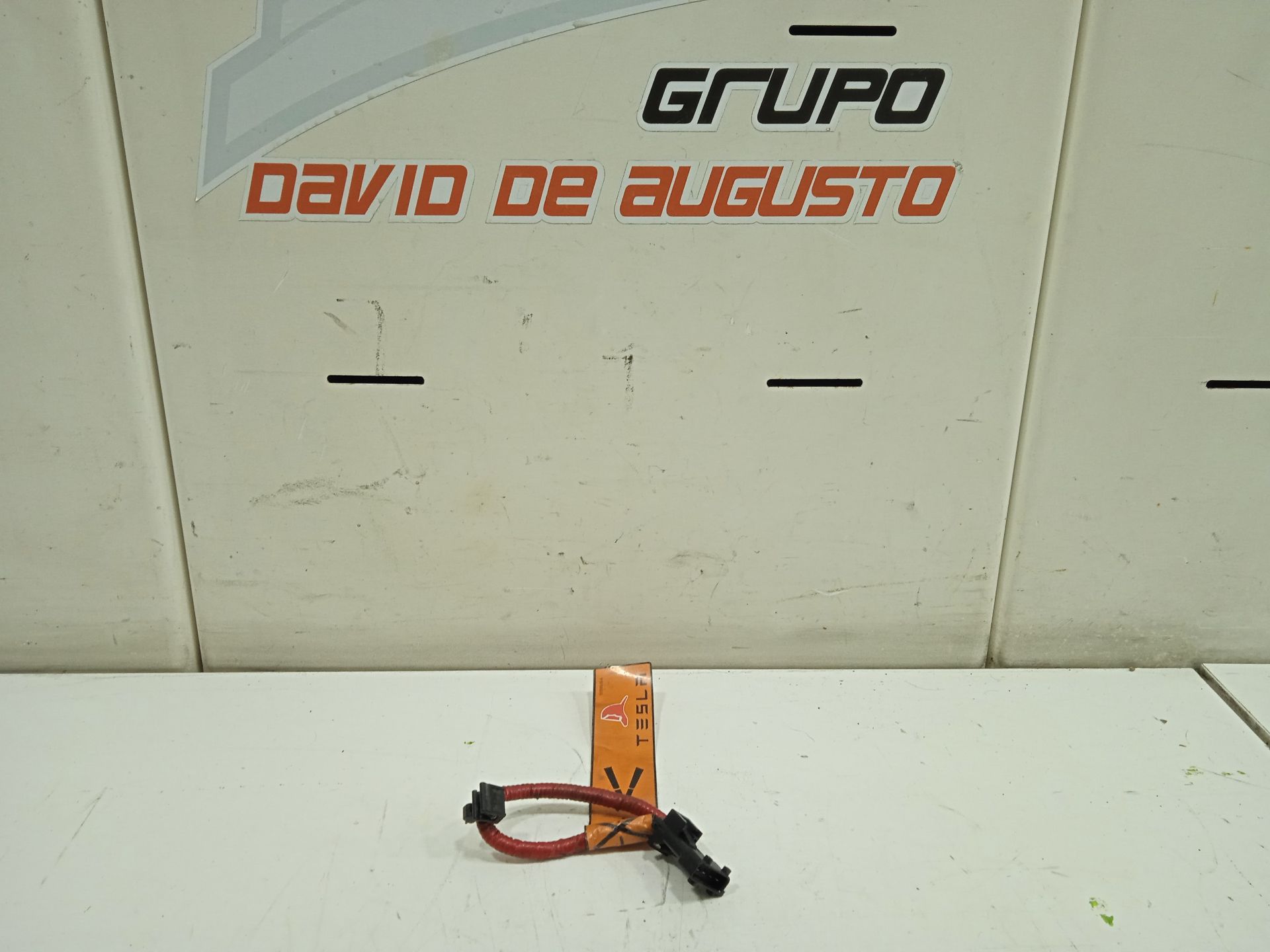 CABLEADO TESLA MODEL S Basis