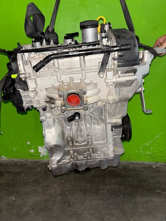 MOTOR COMPLETO SKODA FABIA Color Concept