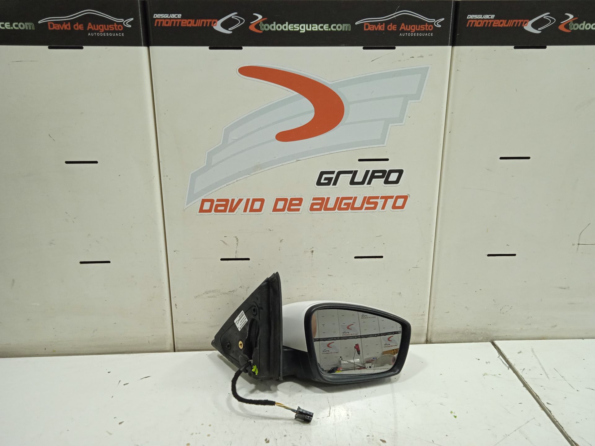 RETROVISOR DERECHO SKODA FABIA Color Concept
