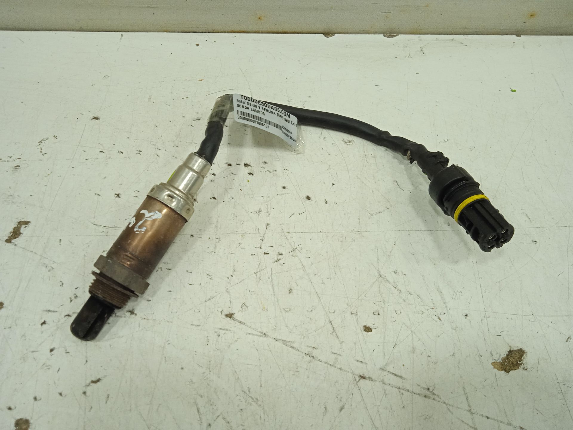 SONDA LAMBDA foto 3