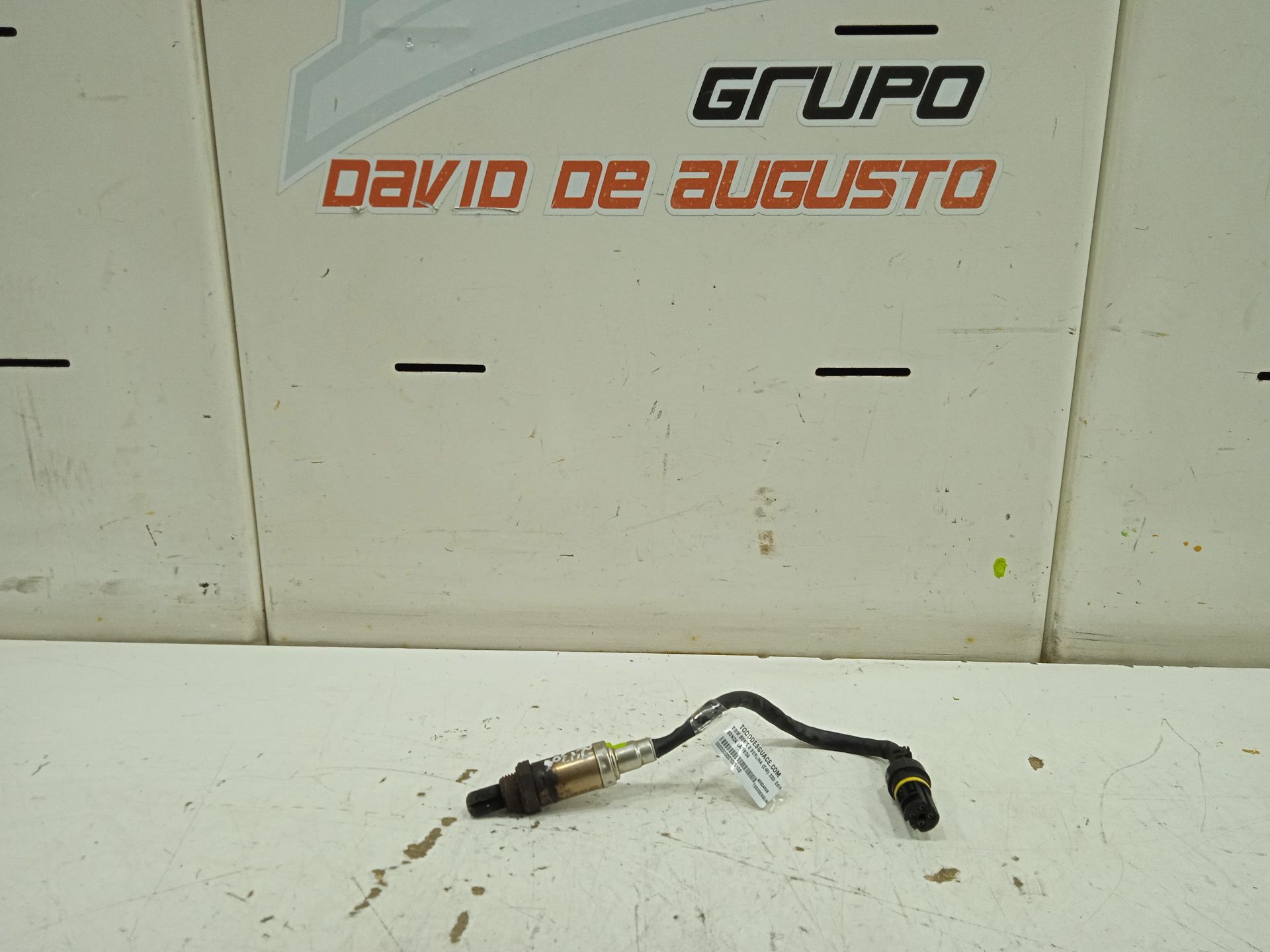 SONDA LAMBDA foto 2
