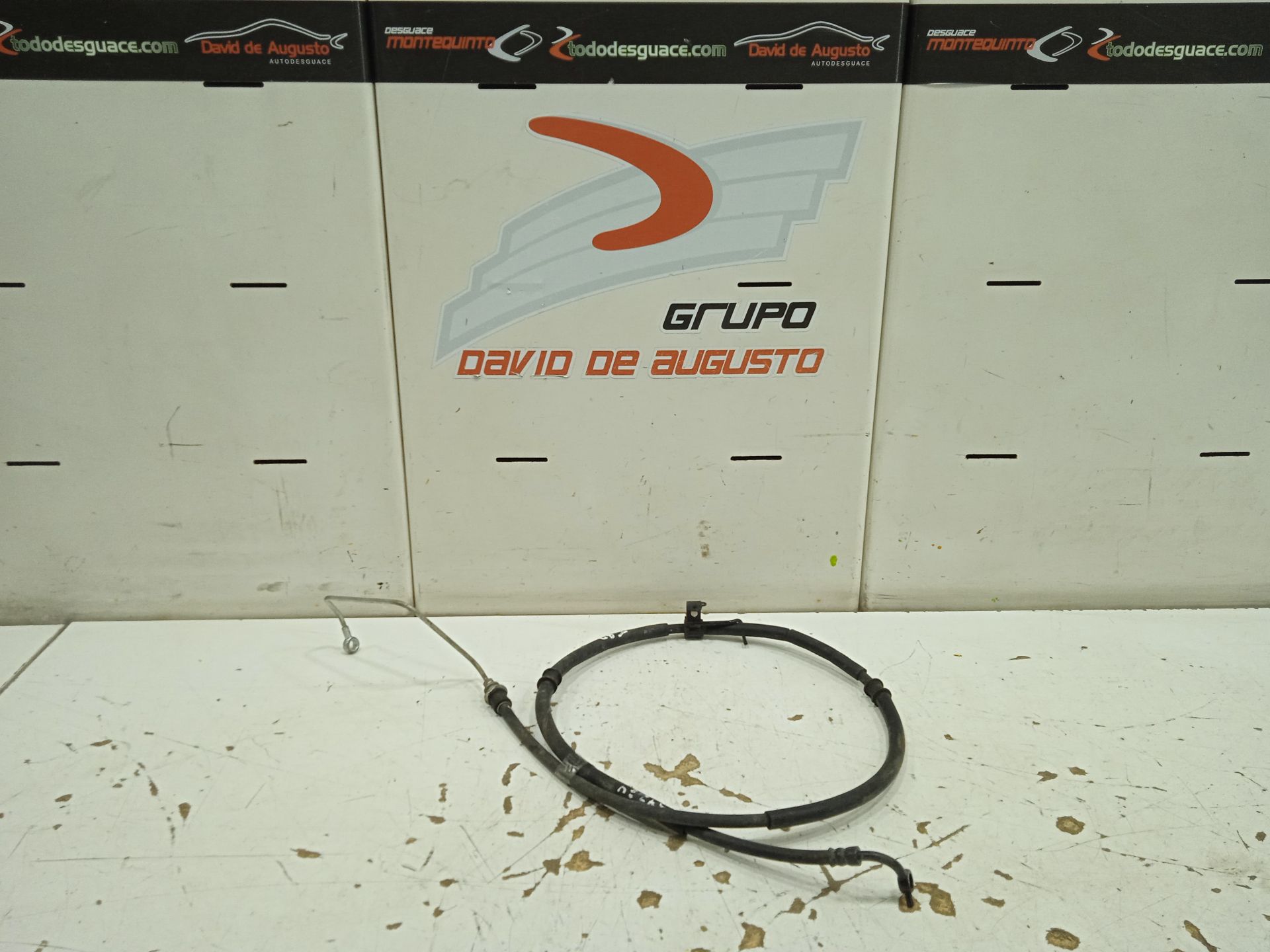 EXTENSION TUBERIA BMW SERIE 3 TOURING (E91) 325xi