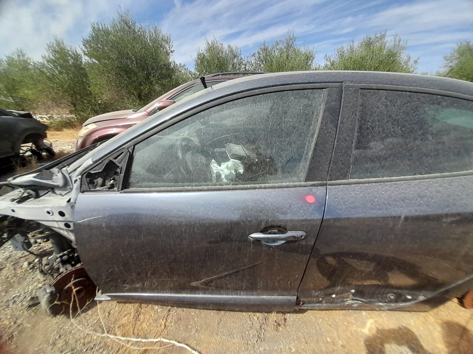 PUERTA DELANTERA IZQUIERDA RENAULT MEGANE III BERLINA 5 P Dynamique