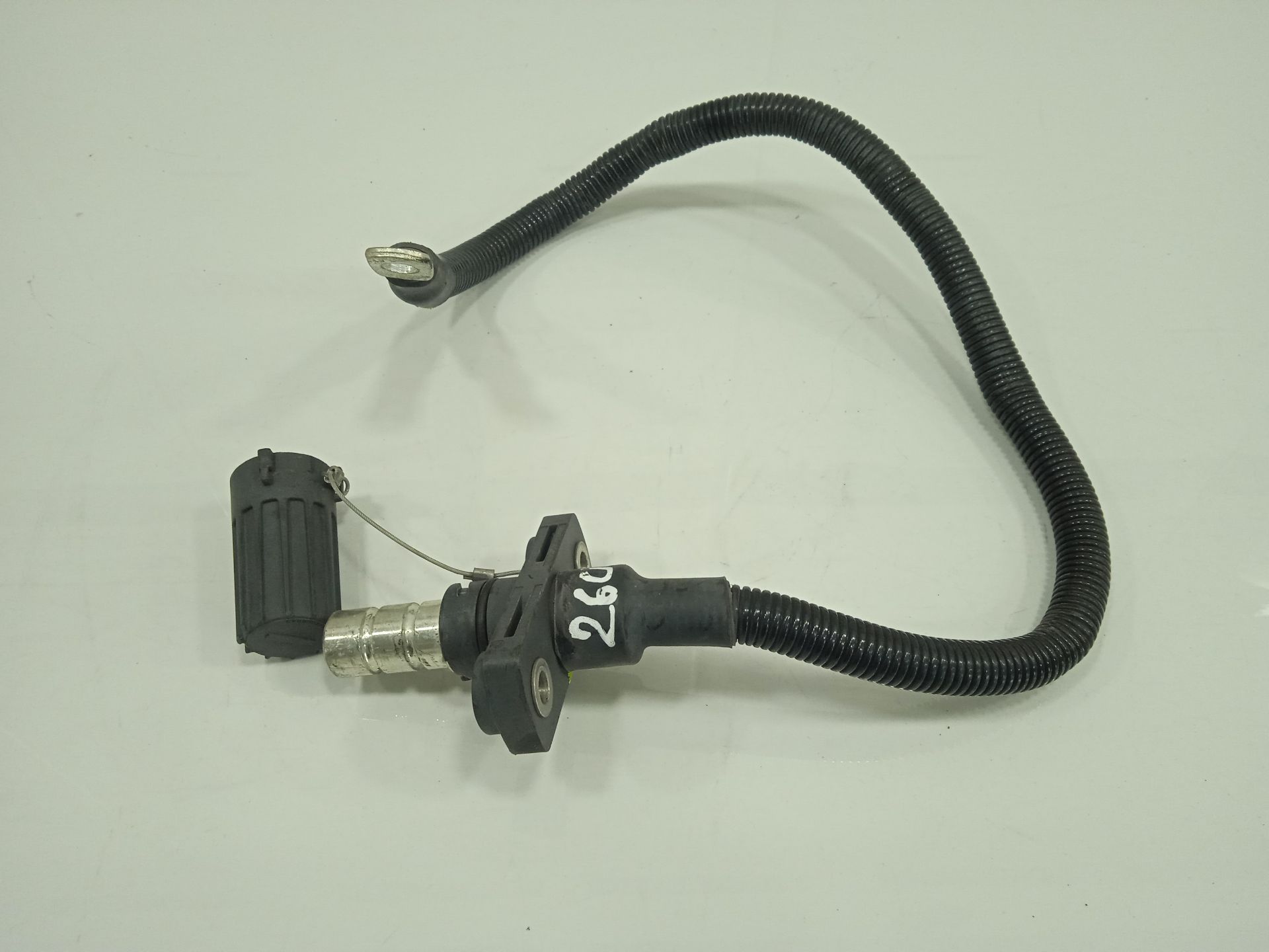 CABLEADO MAN TGX 33.XXX FG /   6x4   BL XL