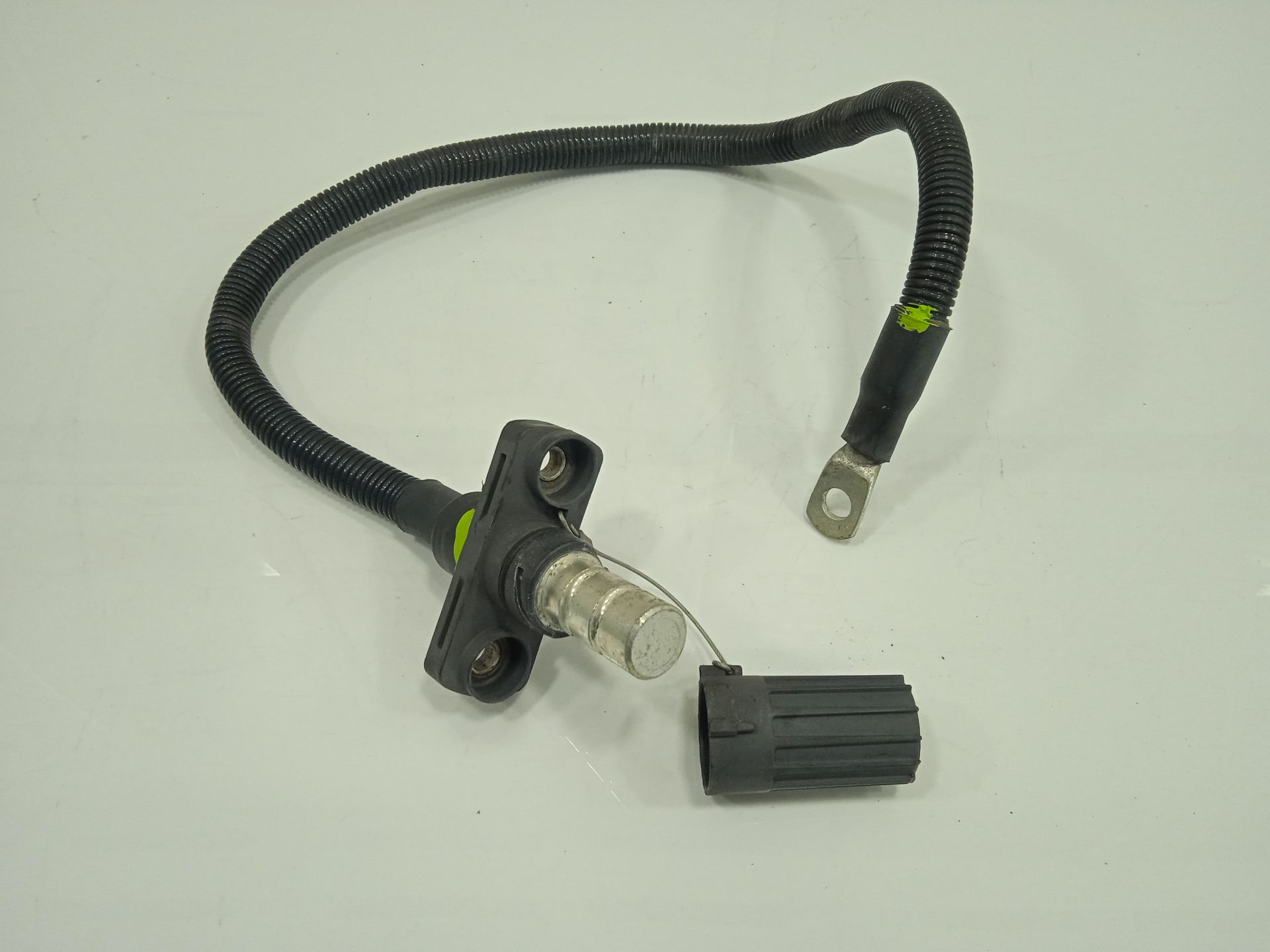 CABLEADO MAN TGX 33.XXX FG /   6x4   BL XL