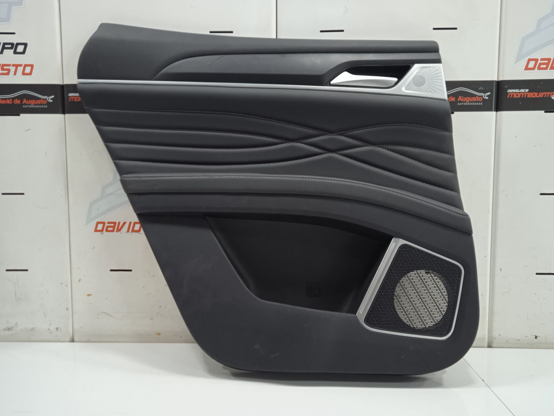PAÑO PUERTA TRASERO IZQUIERDO DFSK FENGON IX5 CLASSIC