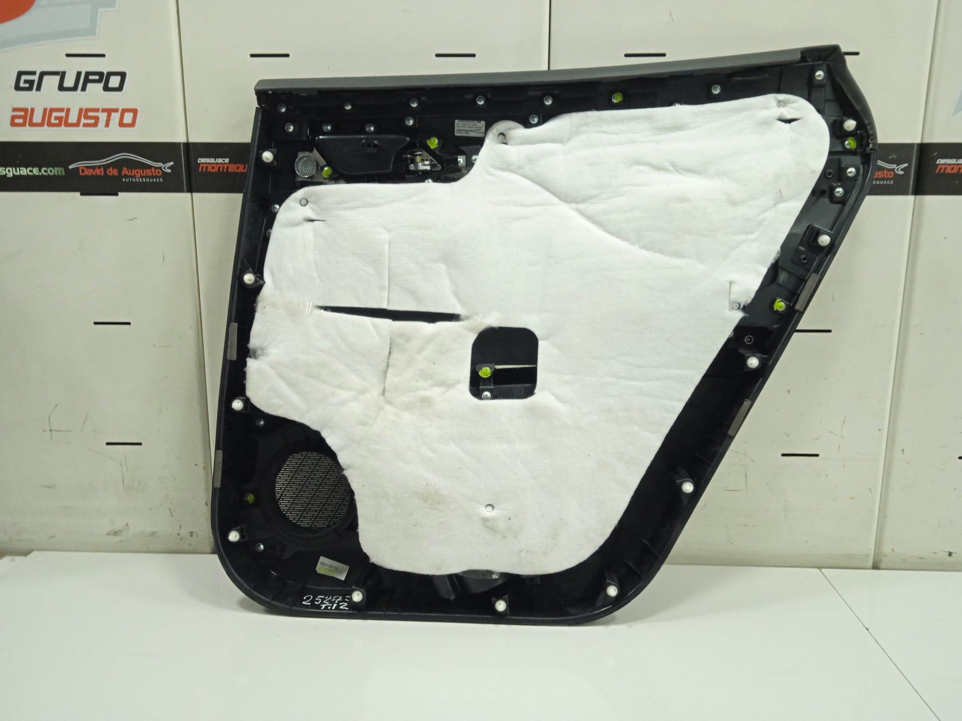 PAÑO PUERTA TRASERO IZQUIERDO DFSK FENGON IX5 CLASSIC