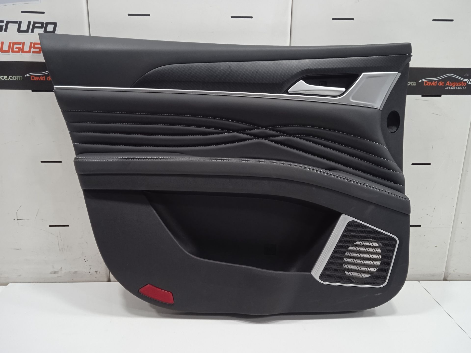 PAÑO PUERTA DELANTERO IZQUIERDO DFSK FENGON IX5 CLASSIC
