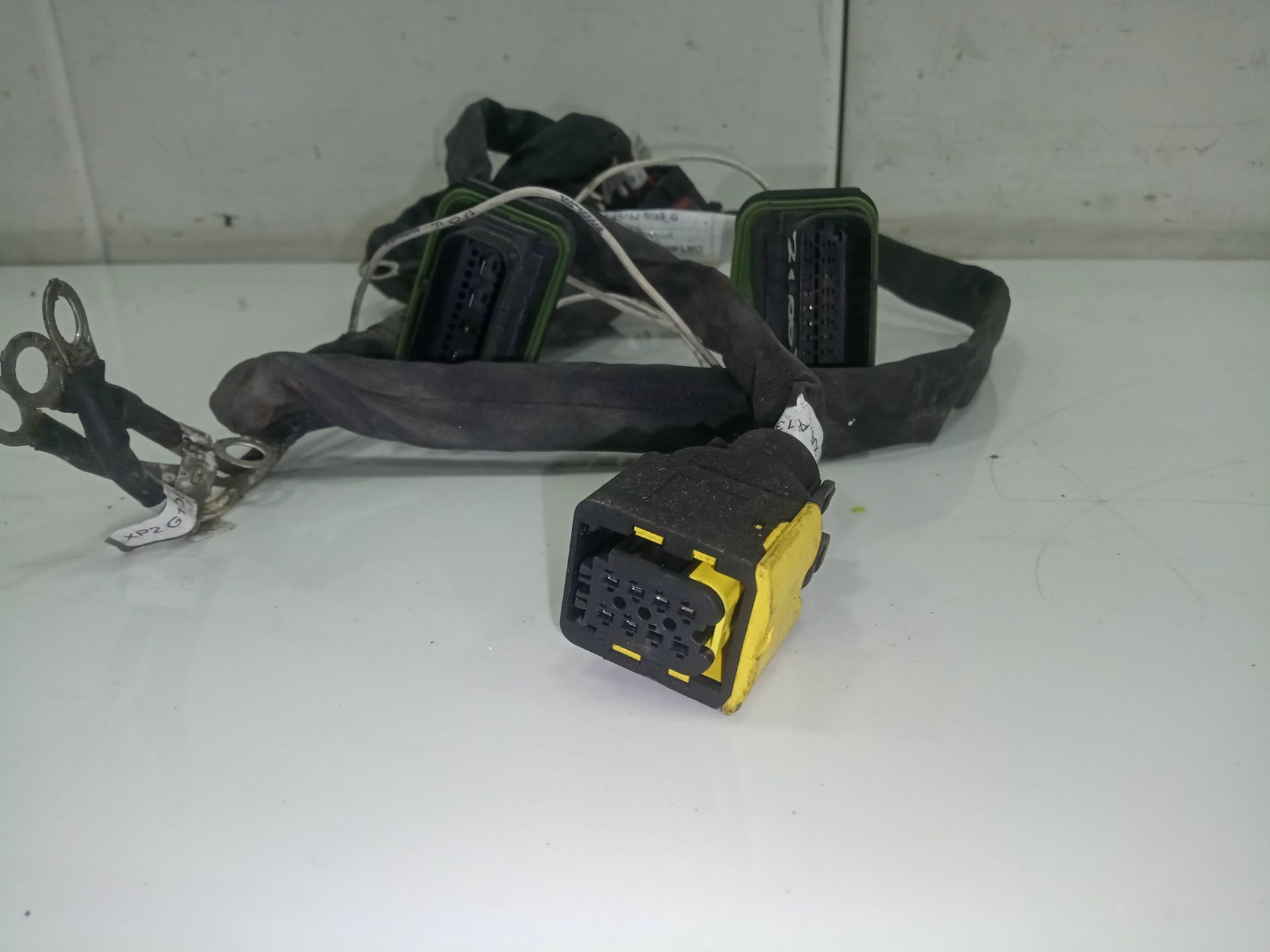 CABLEADO MAN TGX 33.XXX FG /   6x4   BL XL