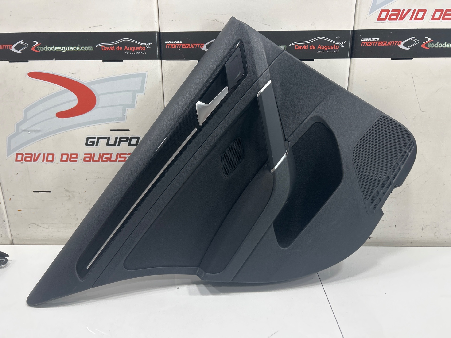 PAÑO PUERTA TRASERO IZQUIERDO VOLKSWAGEN GOLF VII SPORTSVAN Advance