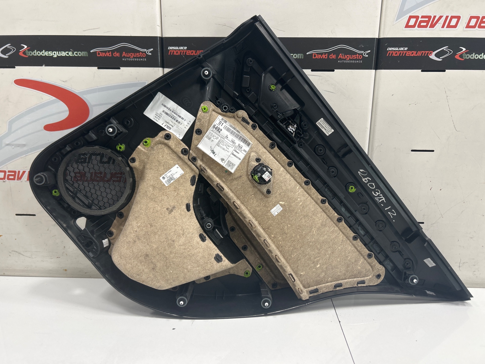 PAÑO PUERTA TRASERO IZQUIERDO VOLKSWAGEN GOLF VII SPORTSVAN Advance