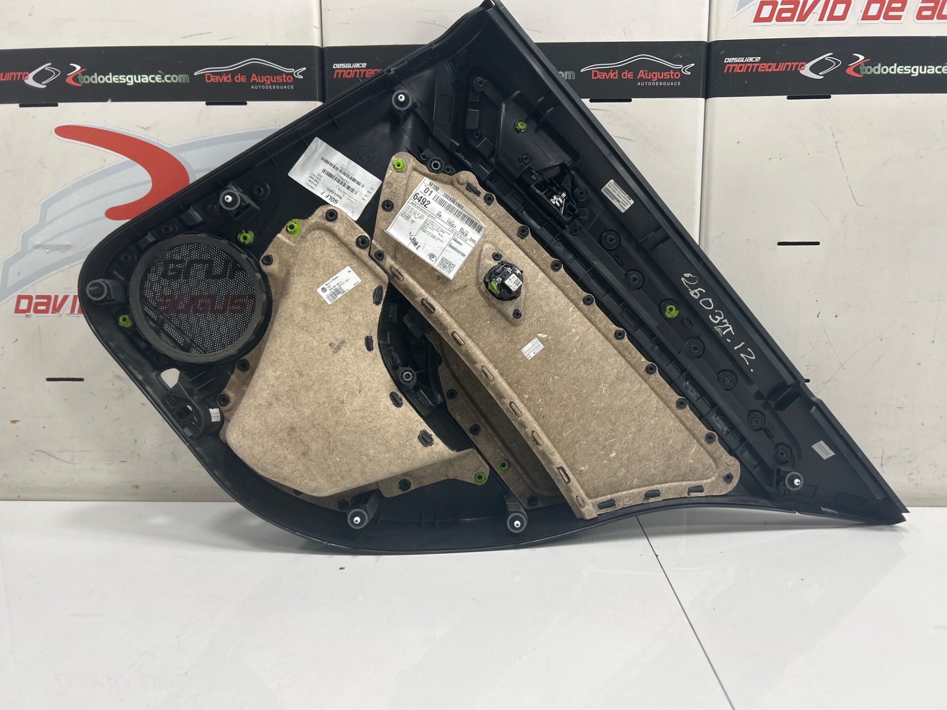 PAÑO PUERTA TRASERO IZQUIERDO VOLKSWAGEN GOLF VII SPORTSVAN Advance