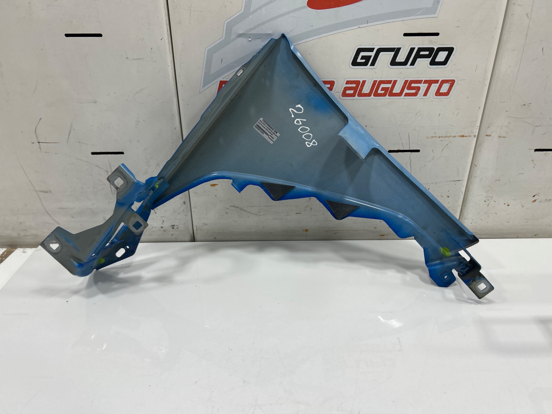 ALETIN DELANTERO DERECHO BMW SERIE Z4 ROADSTER (G29) sDrive 30i