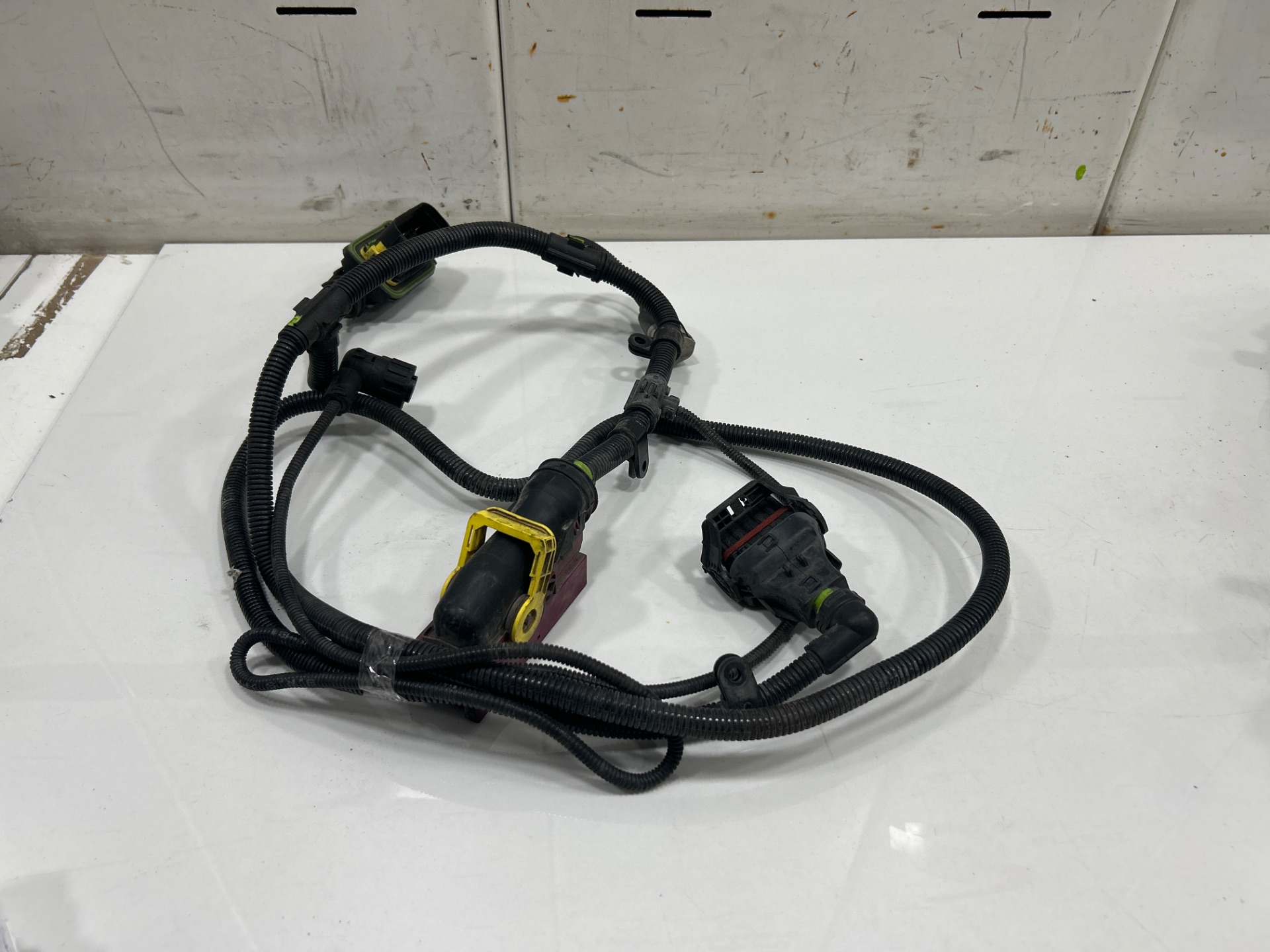 CABLEADO MAN TGX 33.XXX FG /   6x4   BL XL