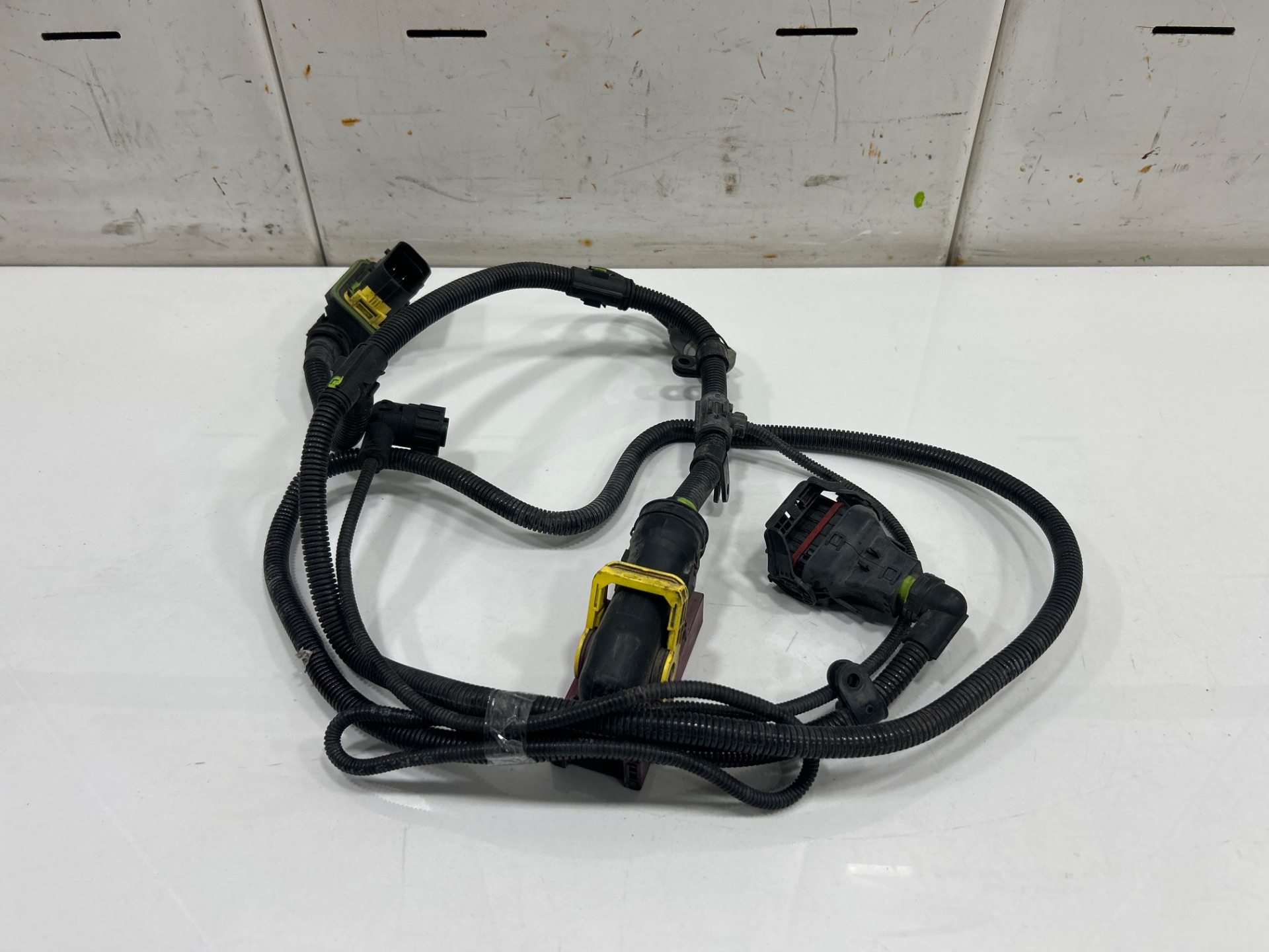 CABLEADO MAN TGX 33.XXX FG /   6x4   BL XL