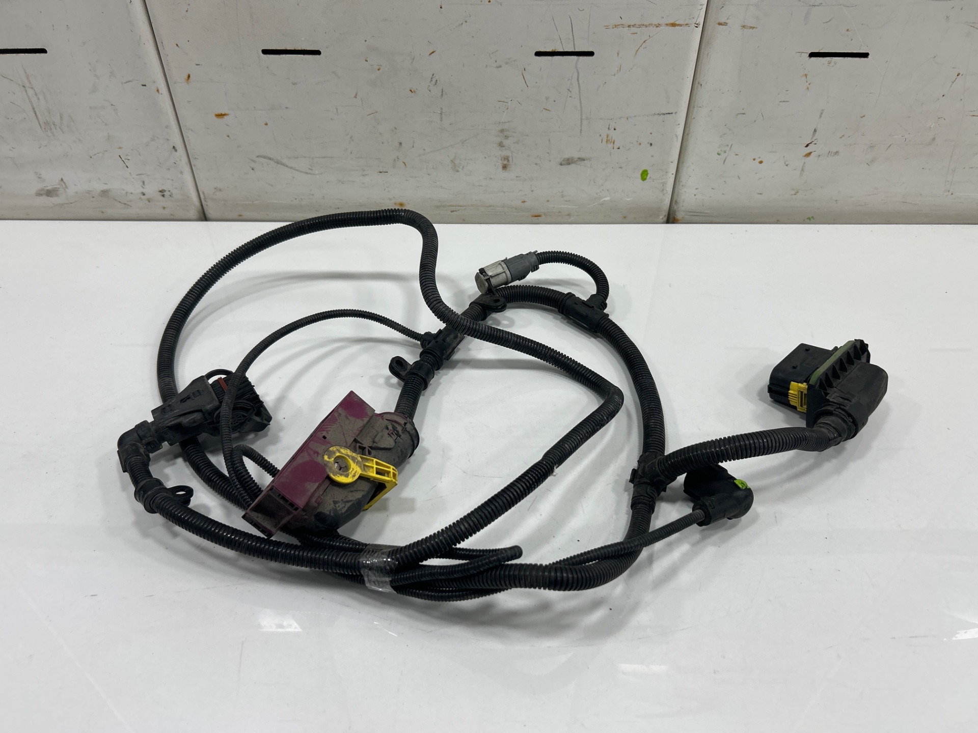 CABLEADO MAN TGX 33.XXX FG /   6x4   BL XL