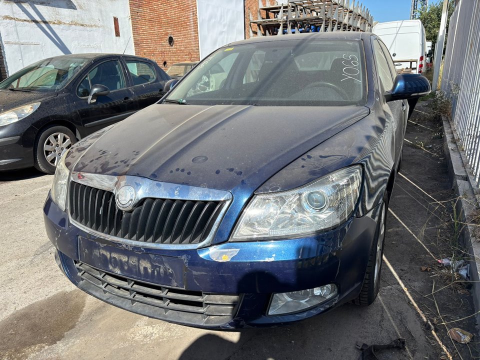 SKODA OCTAVIA BERLINA (1Z3) Active Motor 1,6 Ltr. - 77 kW TDI DPF