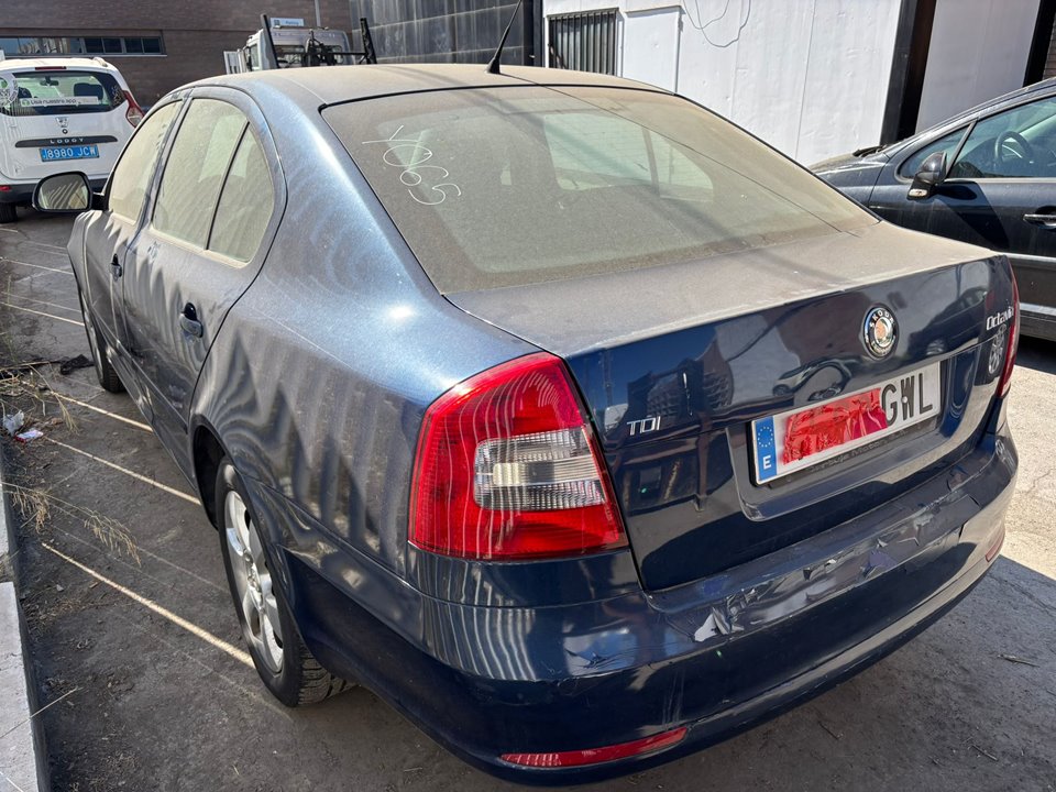SKODA OCTAVIA BERLINA (1Z3) Active Motor 1,6 Ltr. - 77 kW TDI DPF