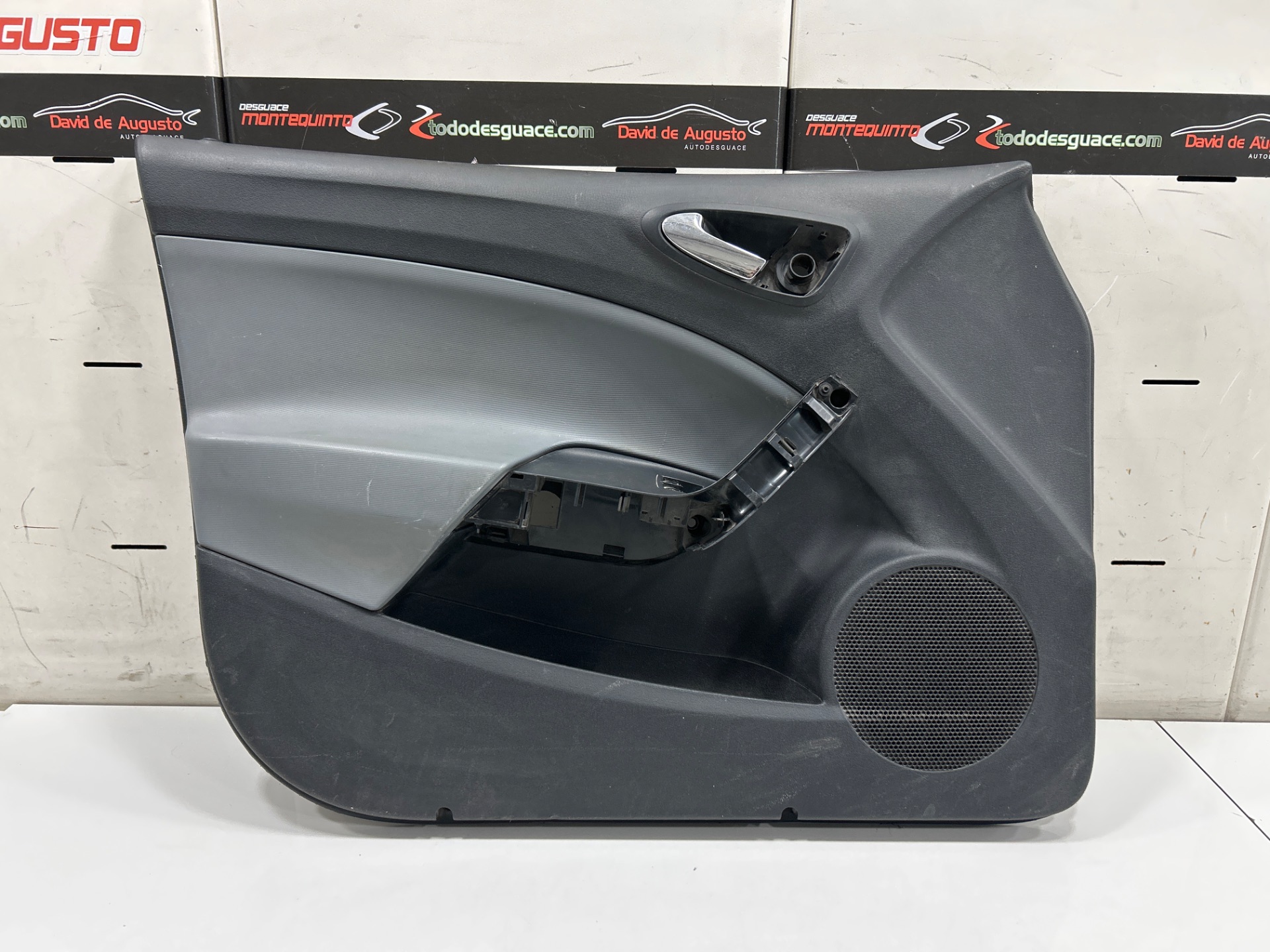 PAÑO PUERTA DELANTERO IZQUIERDO SEAT IBIZA (6J5) Reference   |   05.10 - 12.15