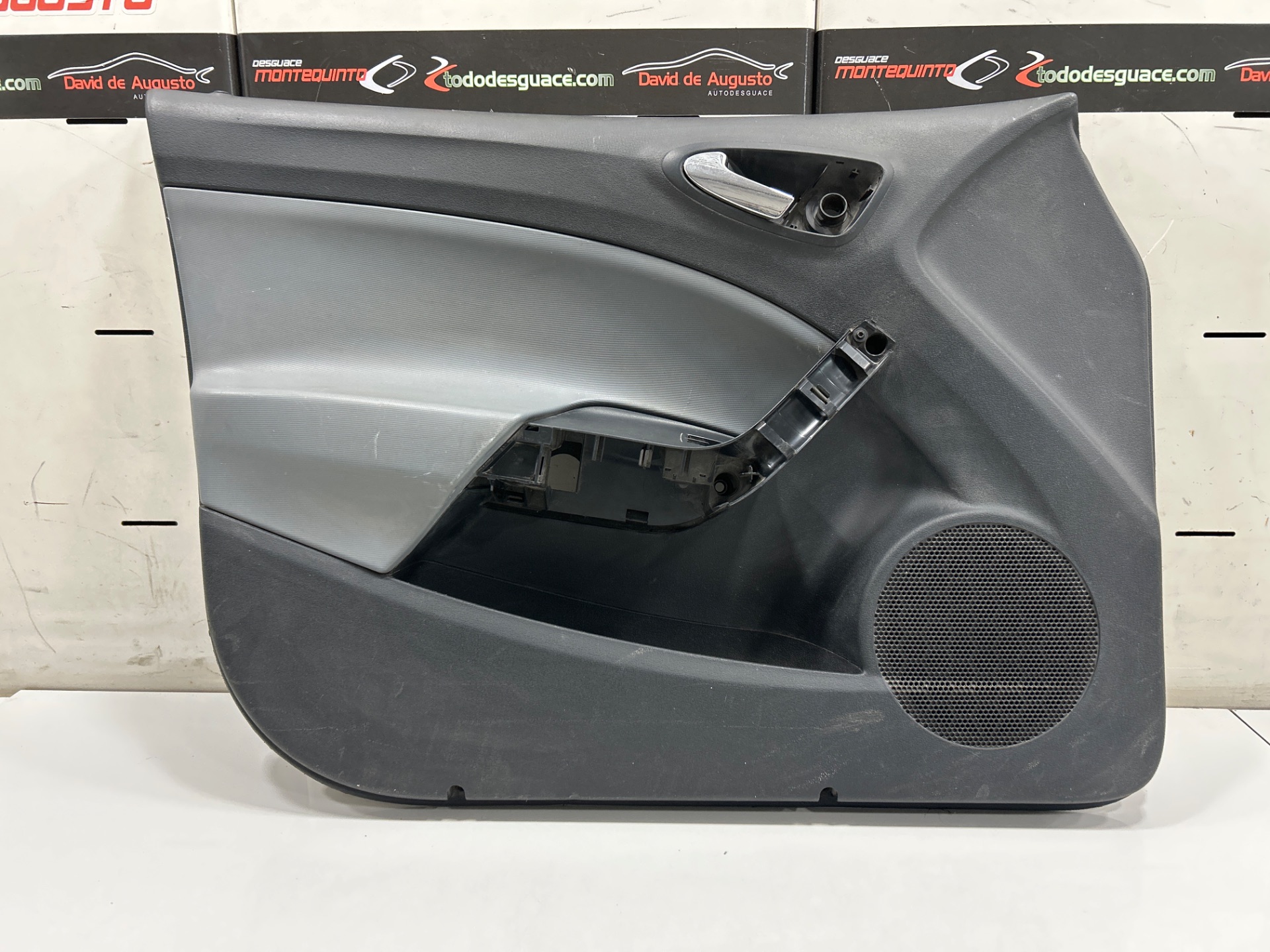 PAÑO PUERTA DELANTERO IZQUIERDO SEAT IBIZA (6J5) Reference   |   05.10 - 12.15