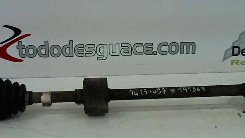 NO IDENTIFICADO FIAT PUNTO BERLINA (188) 1.2 8V