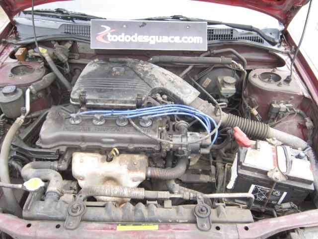 NISSAN PRIMERA BERL./FAMILIAR (P10/W10) Spring Berlina Motor 1,6 Ltr. - 66 kW 16V CAT