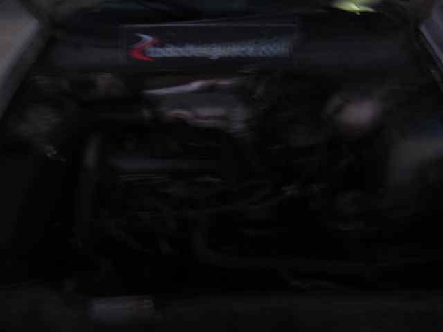 SEAT IBIZA (6K) Básico Motor 1,4 Ltr. - 44 kW
