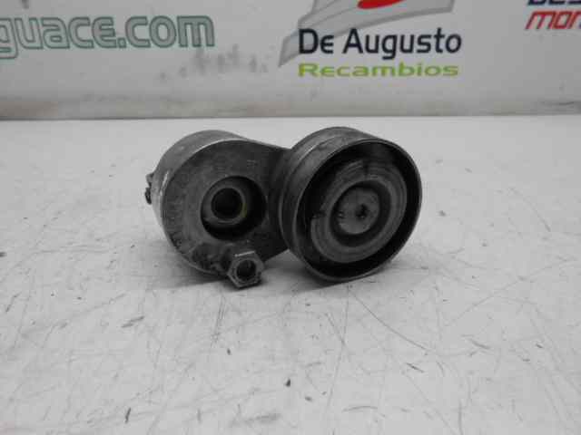 RODILLO TENSOR NISSAN PRIMASTAR (X83) Avantour 7 asientos, batalla corta 2,76t