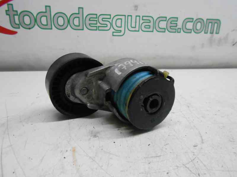TENSOR CORREA AUXILIAR RENAULT SCENIC II Authentique