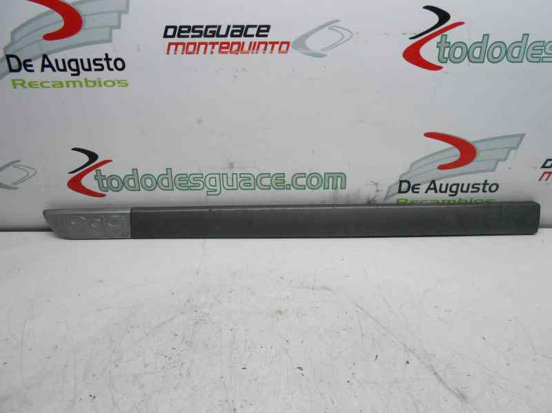 MOLDURA PUERT DELANTERA IZQUIERDA RENAULT SCENIC II Confort Authentique