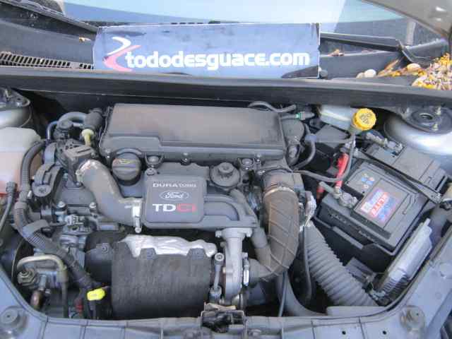 FORD FIESTA (CBK) Ambiente Motor 1,4 Ltr. - 59 kW 16V CAT