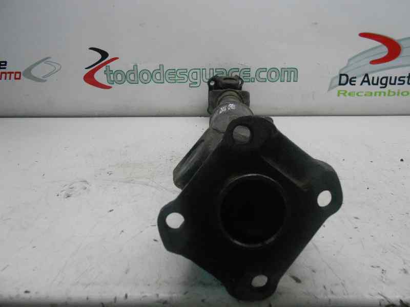 CARDAN DELANTERO TOYOTA LAND CRUISER STATION (J8) BJ73LV-MPW