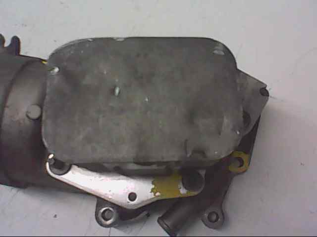 ENFRIADOR ACEITE MOTOR FORD FOCUS BERLINA (CAP) Ambiente (D)