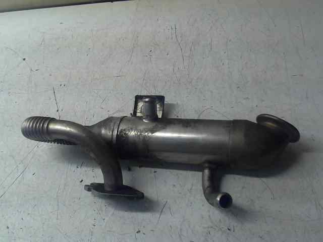 ENFRIADOR GASES FORD FOCUS 1.8 TDDI Turbodiesel (90 CV) 5 velocidades