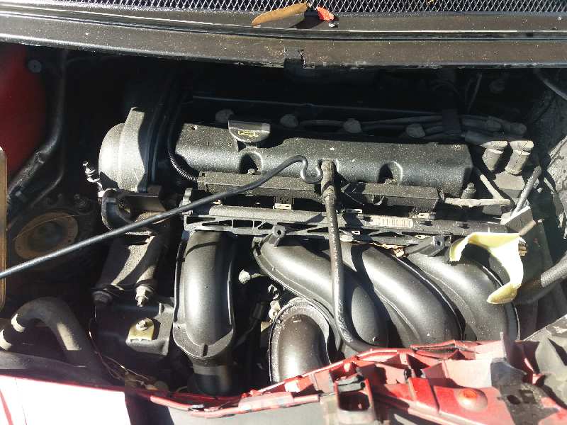 FORD FOCUS BERLINA (CAP) Ghia Motor 1,6 Ltr. - 80 kW TDCi CAT