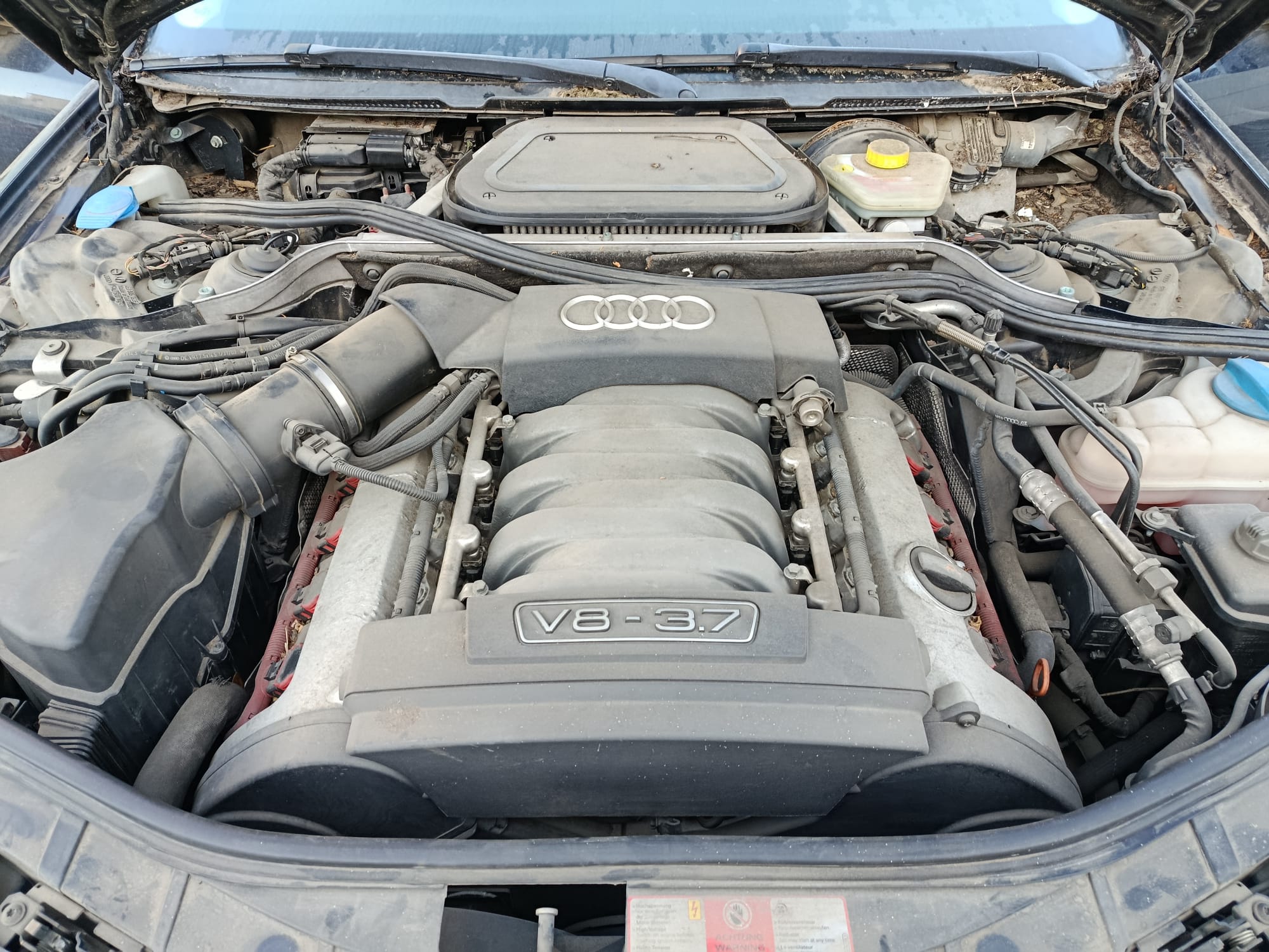 AUDI A8 (4E2) 3.7 Quattro Motor 3,7 Ltr. - 206 kW V8 40V CAT (BFL)